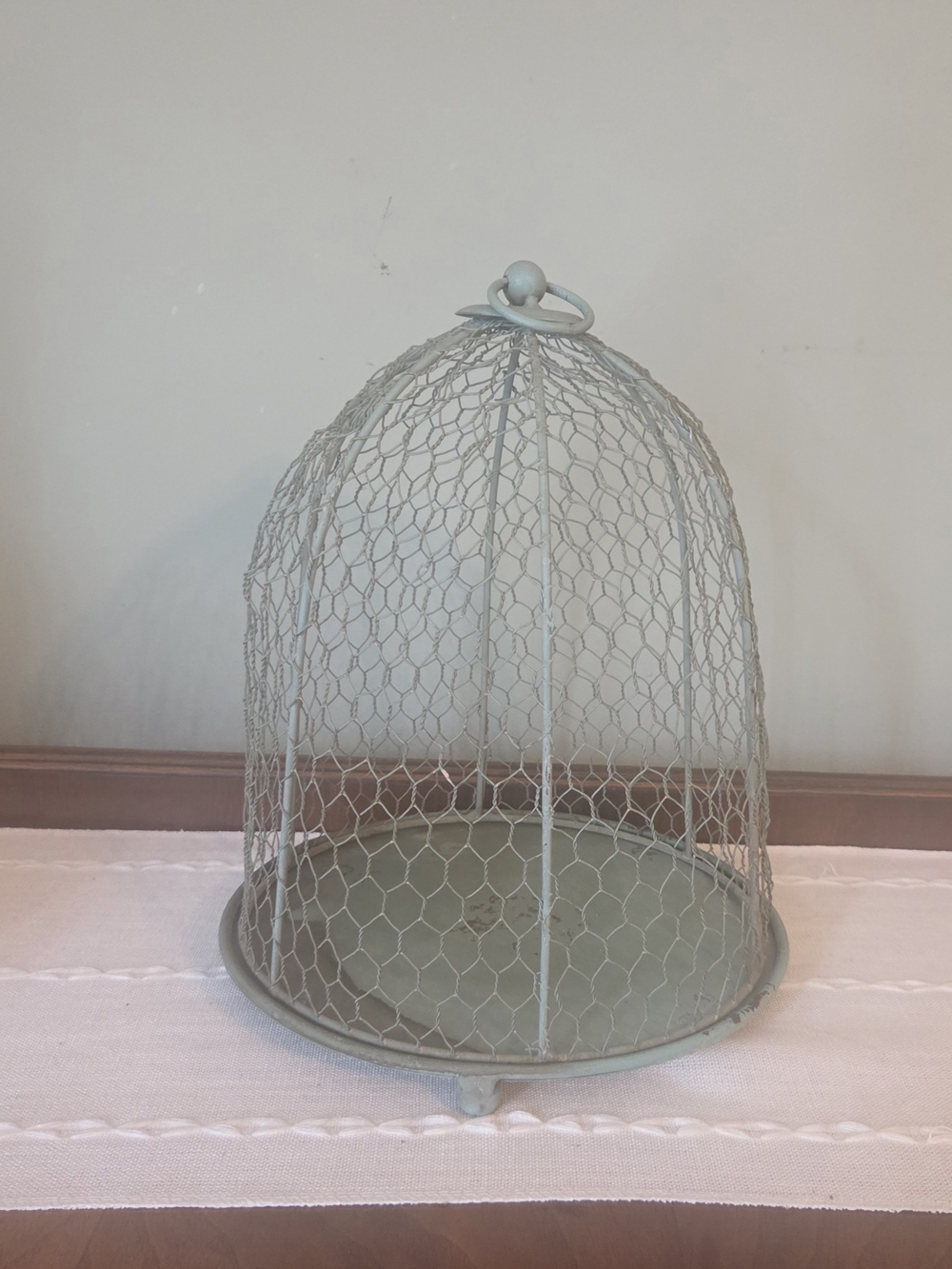 Decorative  Farmhouse Wire Dome Cloche - Pale Sage Green